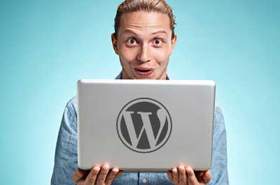 using-wordpress