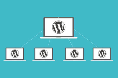 Wordpress multisite plugins