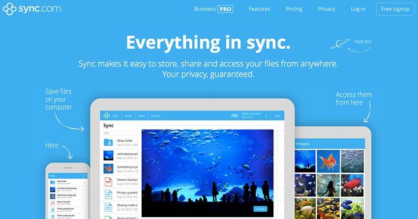 Sync Free Online Cloud Storage