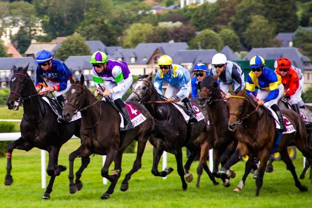 Watch Melbourne Cup Live Stream