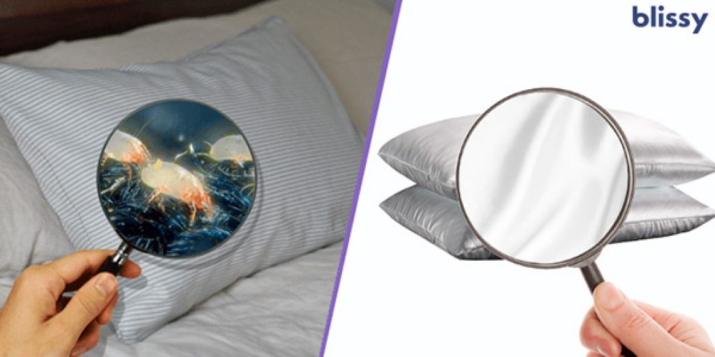 Blissy Silk Pillowcase Review 2021 Is It A Scam?