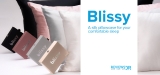 Blissy Silk Pillowcase Review 2024: All You Need to Know