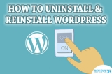 How to Uninstall And Reinstall WordPress in 3 Simple Steps